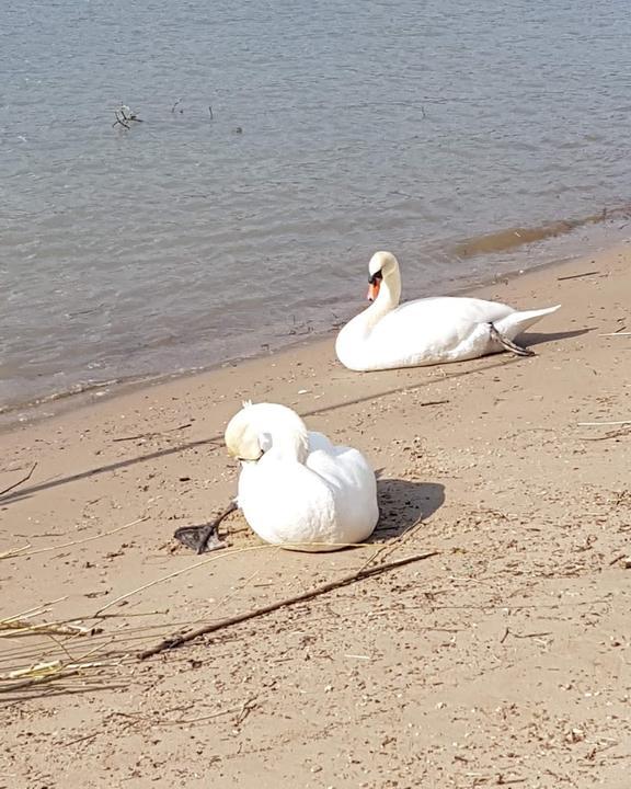 Strandbadgaststatte